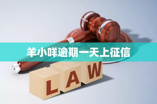 羊小咩逾期一天即上征信？解讀企業征信服務的重要性