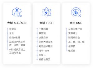 大樹金融完成Pre-A輪融資，以流程風(fēng)控賦能中小企業(yè)，投后估值達(dá)20億元